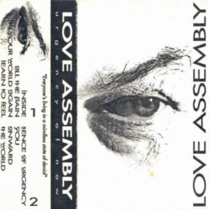 Love Assembly - Urgency of Now cover 1